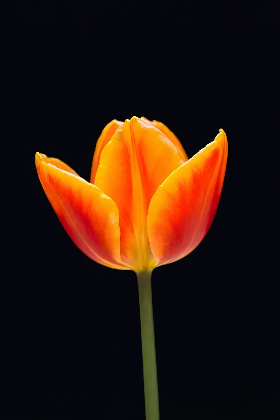 各种暴雷，光伏最好的环节也不可了吗？